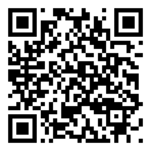 Basic SKELETON – DIY Wooden Assembly Kit